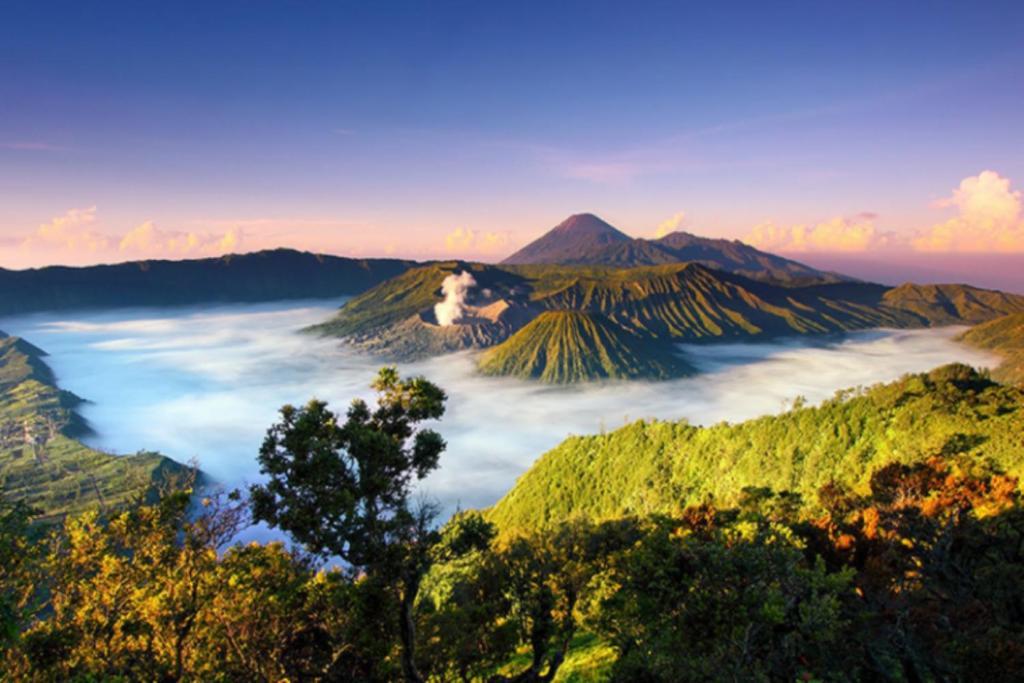 Homestay Banyuwangi Sunrise *